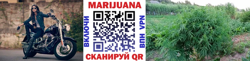 ГАШ Нерехта