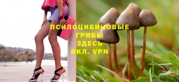 прущие крисы Богданович