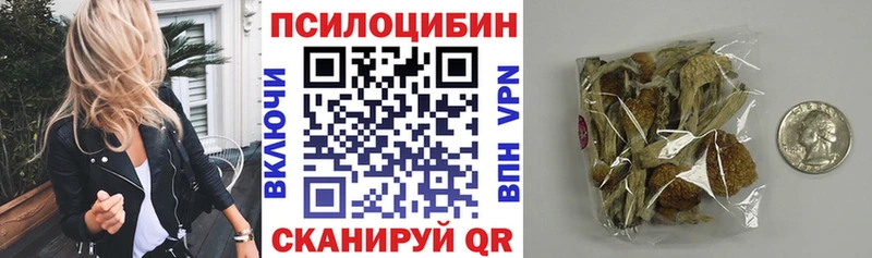 Купить где  Нерехта  Галлюциногенные грибы Psilocybe 